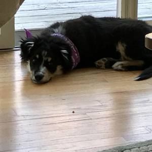 Meet your Posher, Graham